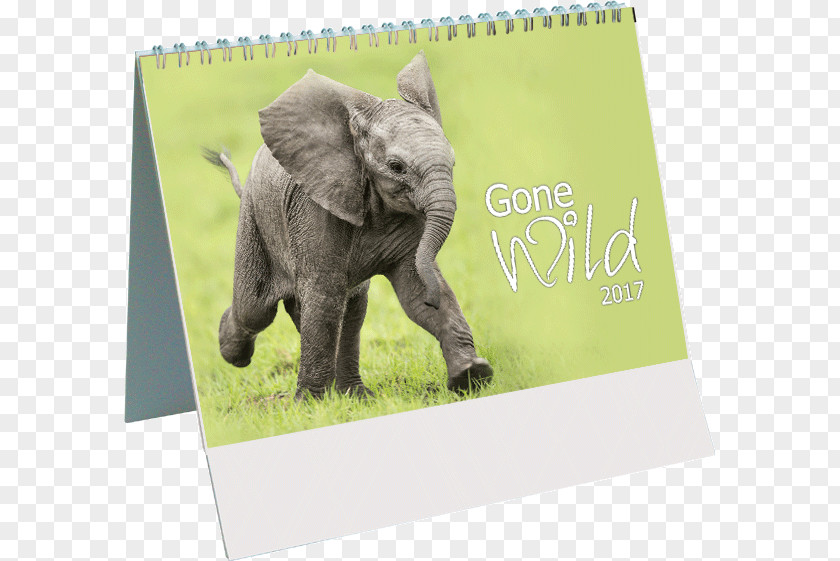 Elephant Indian Wildlife Calendar PNG