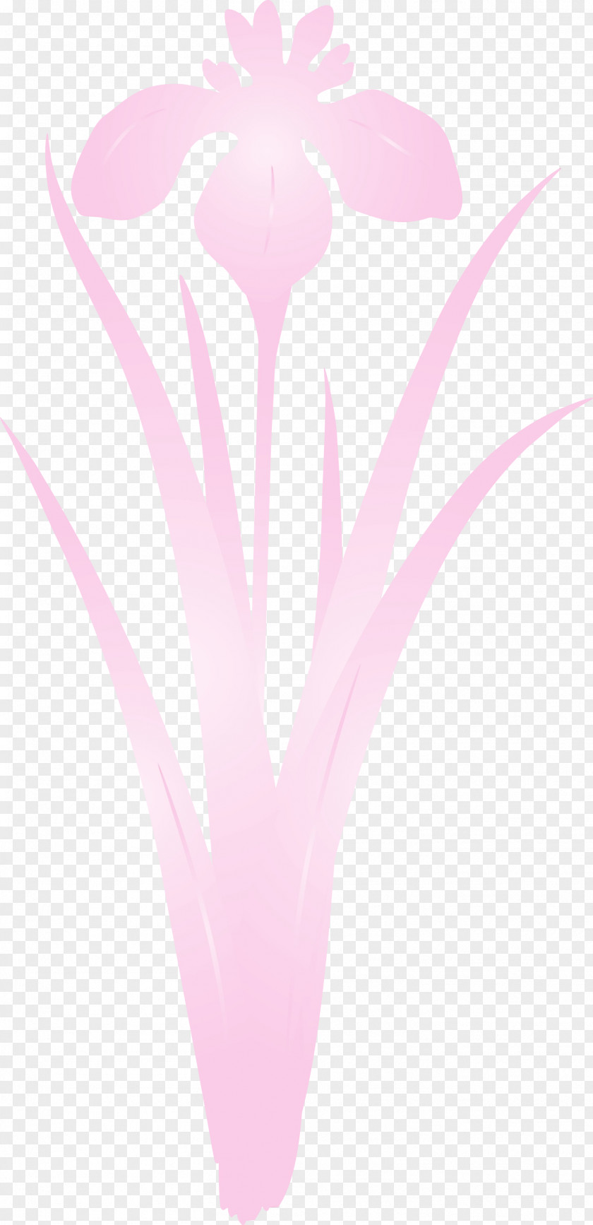 Pink Plant Petal Heart Flower PNG