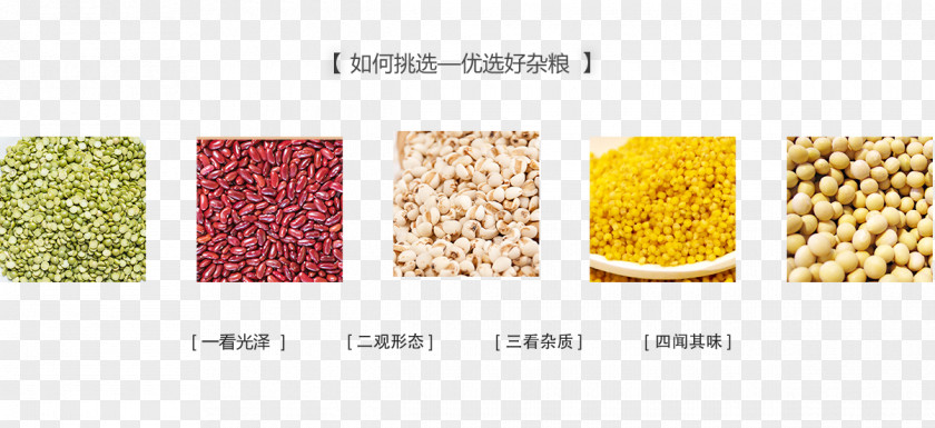 Rice Grains Cereal Superfood Grain PNG