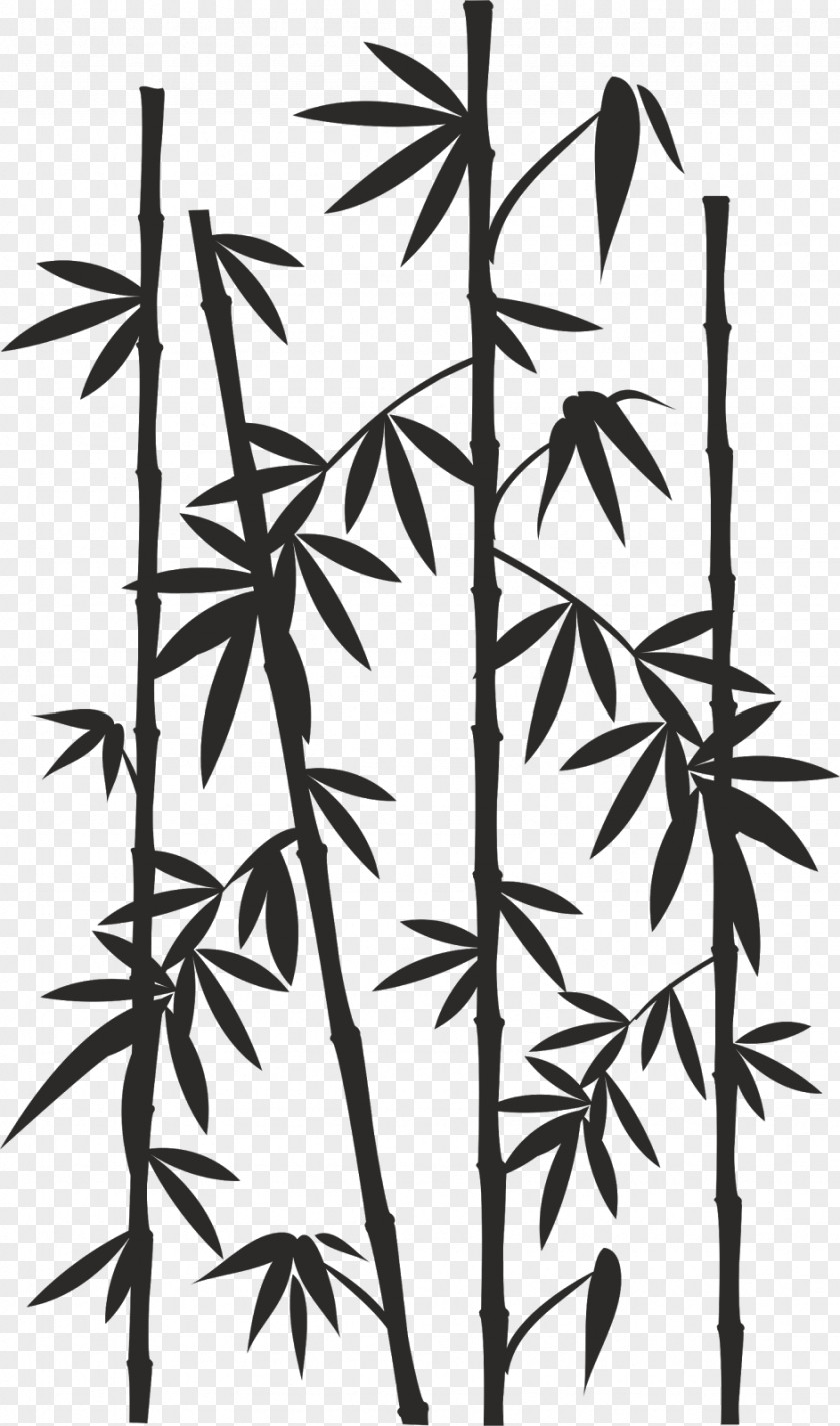 Bamboo Paper Drawing Reed PNG