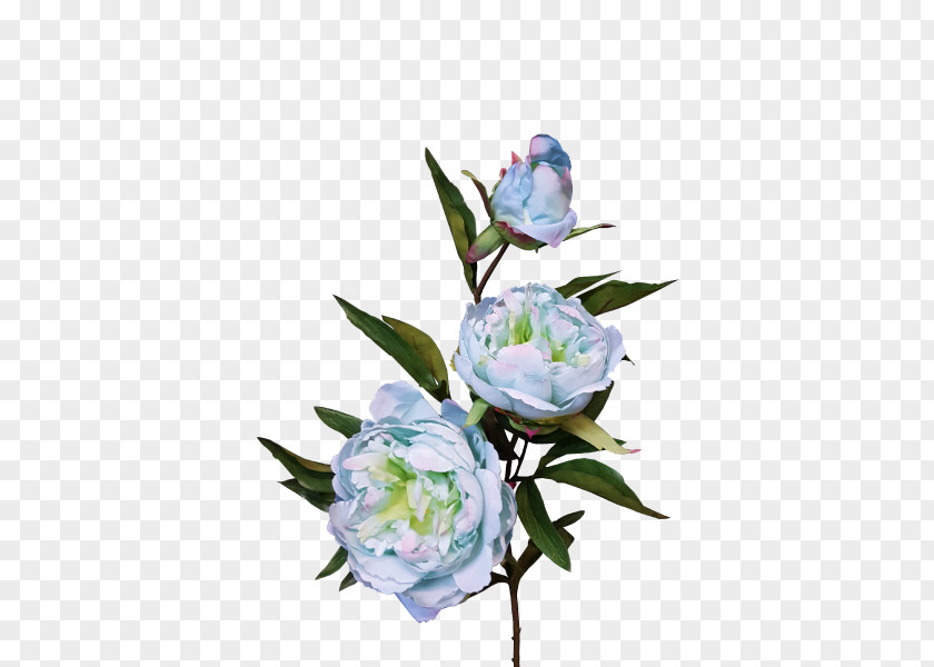 Design Cut Flowers Floral Plant Stem Petal PNG
