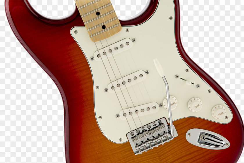 Electric Guitar Fender Stratocaster Standard Strat Plus Floyd Rose PNG