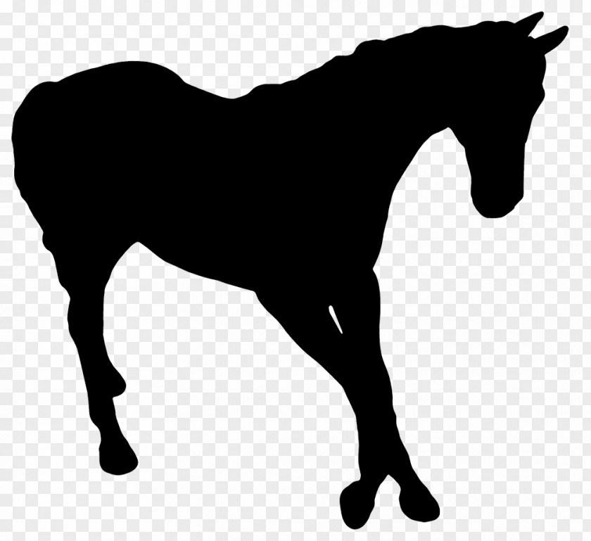 Horse Silhouette Photography PNG