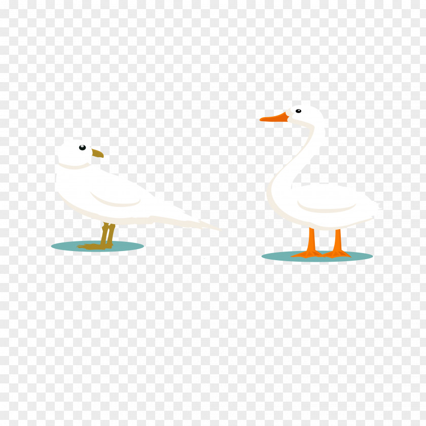 Vector Cartoon Goose Duck Area Beak Pattern PNG