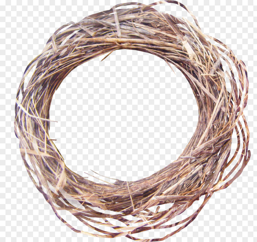 Brown Background tree Carrelage Soap Bird Nest Image PNG