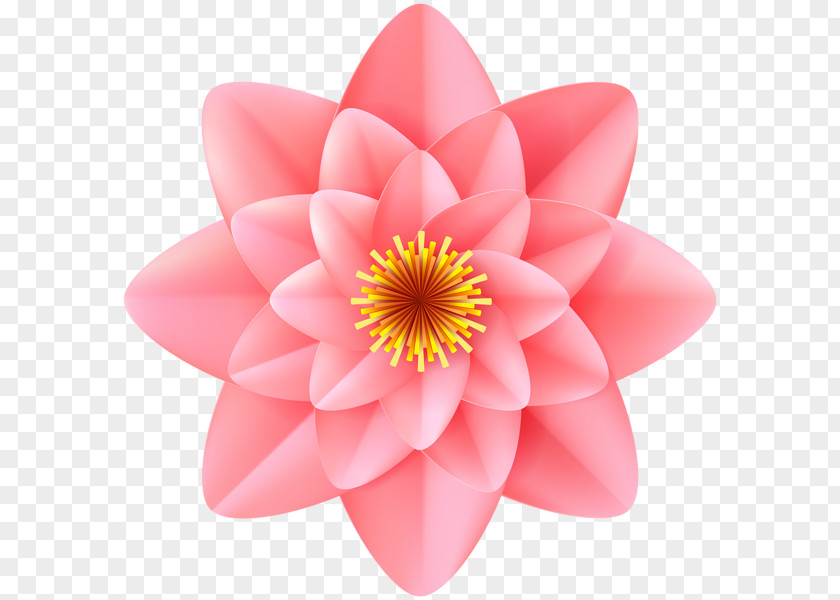 Decorative Flower Clip Art PNG
