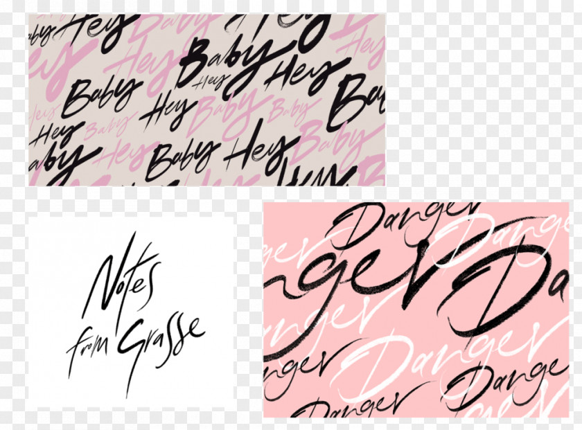 Gucci Illustration Art Director Calligraphy Typography Illustrator Designer PNG