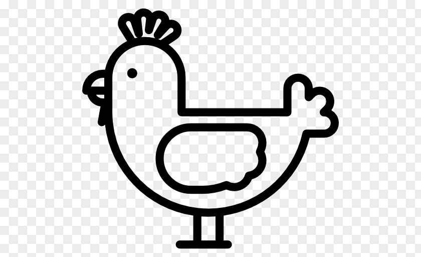 Hen Chicken Clip Art PNG