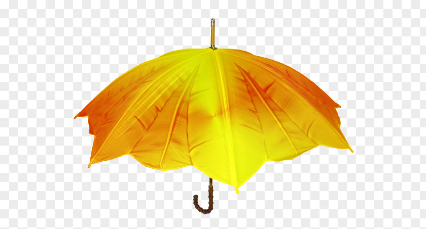 Nouveau Recueil De Cantiques Umbrellas & Parasols Design Antuca Clothing PNG