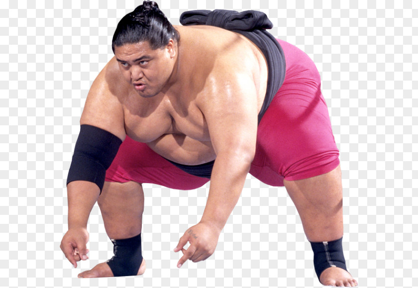 Sumo Yokozuna Professional Wrestler Wrestling Royal Rumble PNG
