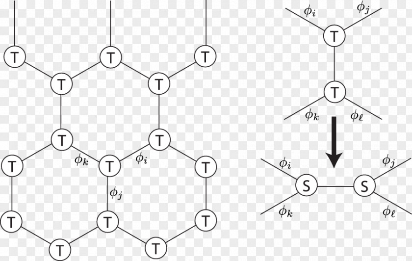 Tensor Network Theory Physics Renormalization Group Rank PNG