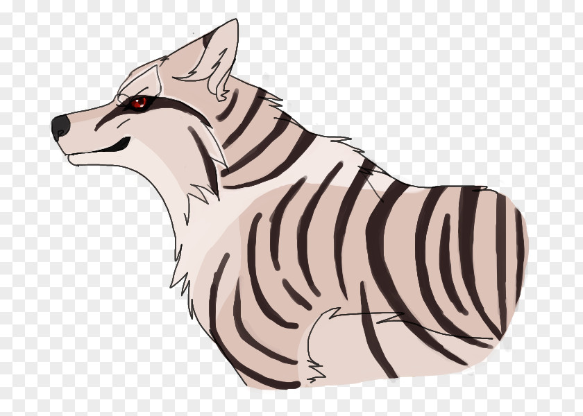 Tiger Whiskers Cat Dog Canidae PNG