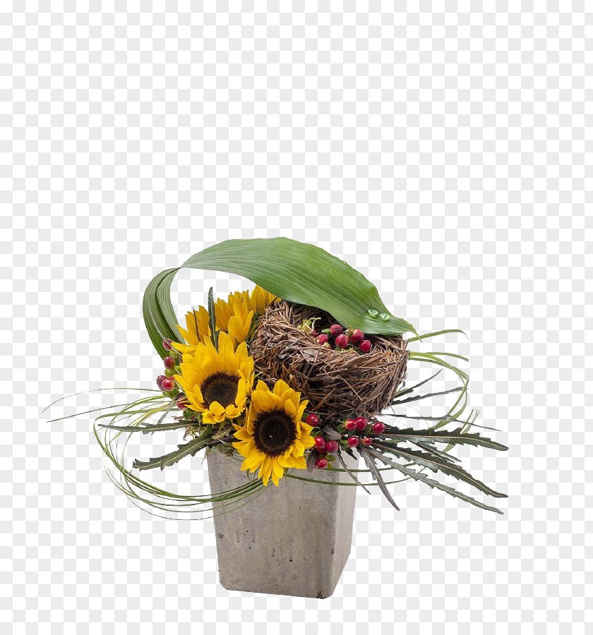 Bamboo Sunflower Floral Ornaments Common Ornament Leaf PNG