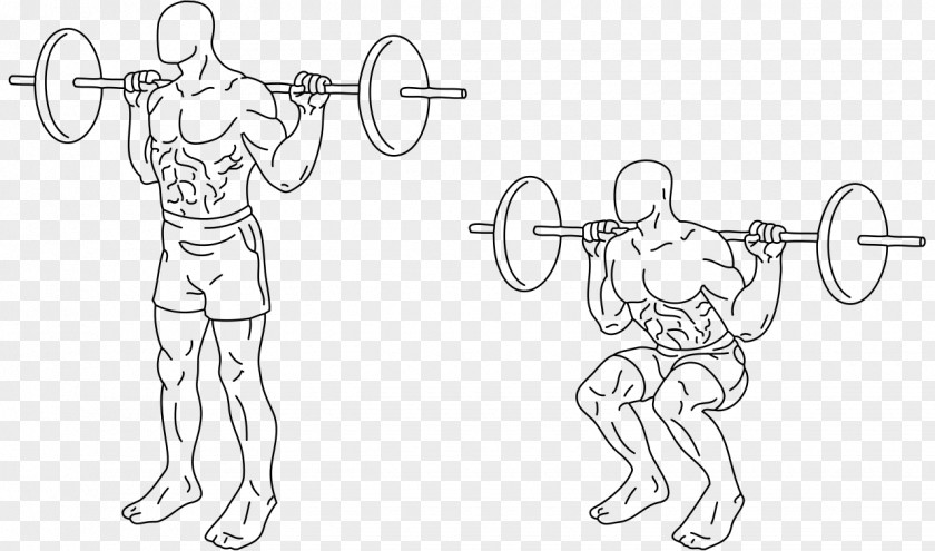 Barbell Squat Deadlift Human Back Exercise Dumbbell PNG