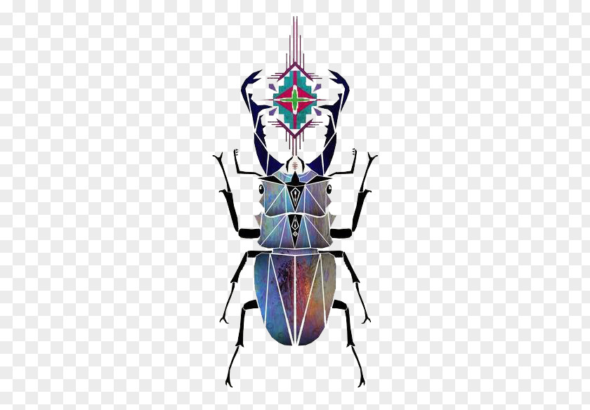Beetle Of Lattice Vector Art Illustration PNG