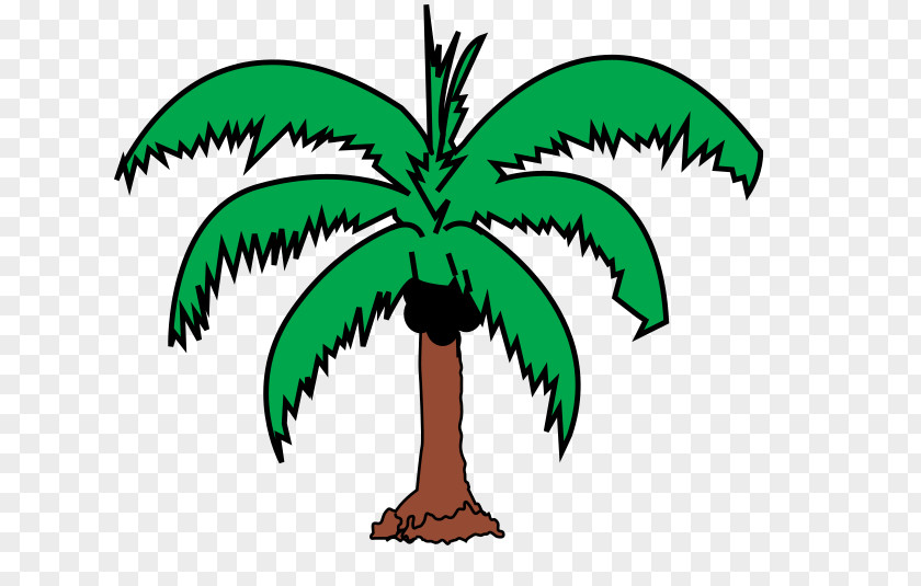 Coconut Arecaceae Tree Leaf Clip Art PNG