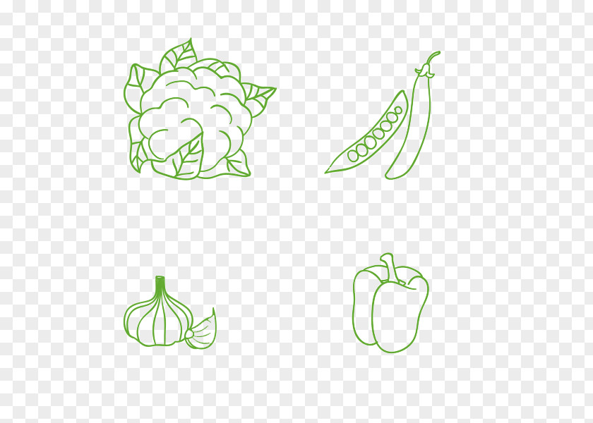 Hand Drawn Fruits And Vegetables Egyptian Cuisine Organic Food Clip Art PNG