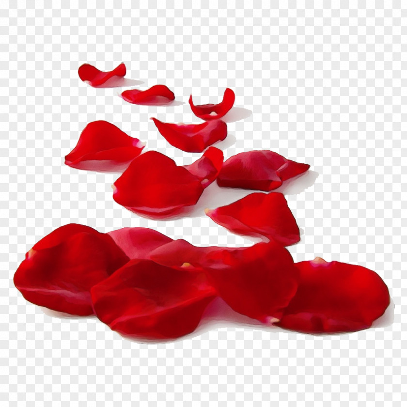Petal Red Valentines Day Heart PNG
