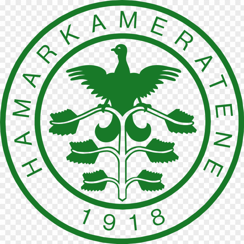 Eriksen Hamarkameratene Clip Art Logo Product Football PNG