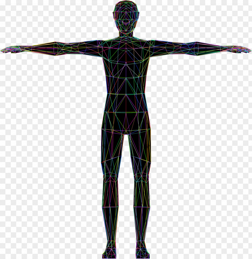Human Vitruvian Man Body Homo Sapiens Drawing Clip Art PNG