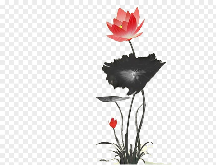 Lotus Ink Wash Painting Download Chinoiserie PNG