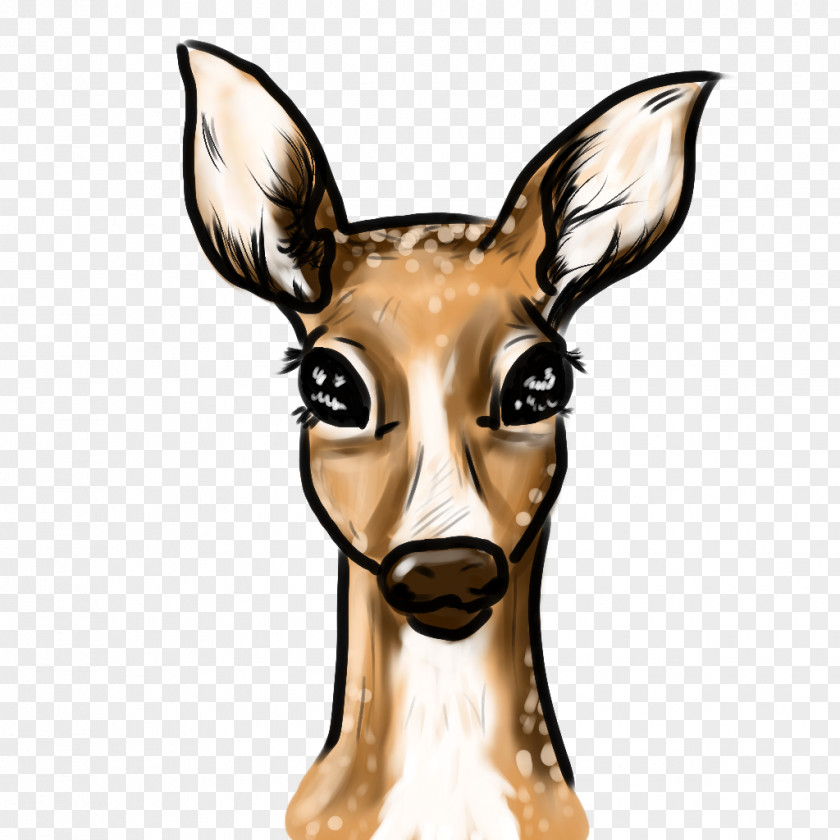 Fawn Deer Antelope Macropodidae Animal Giraffidae PNG
