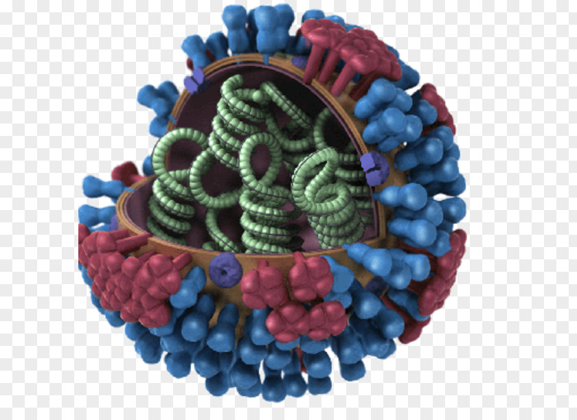 Genetic Material Avian Influenza Flu Season Vaccine A Virus Subtype H5N1 PNG