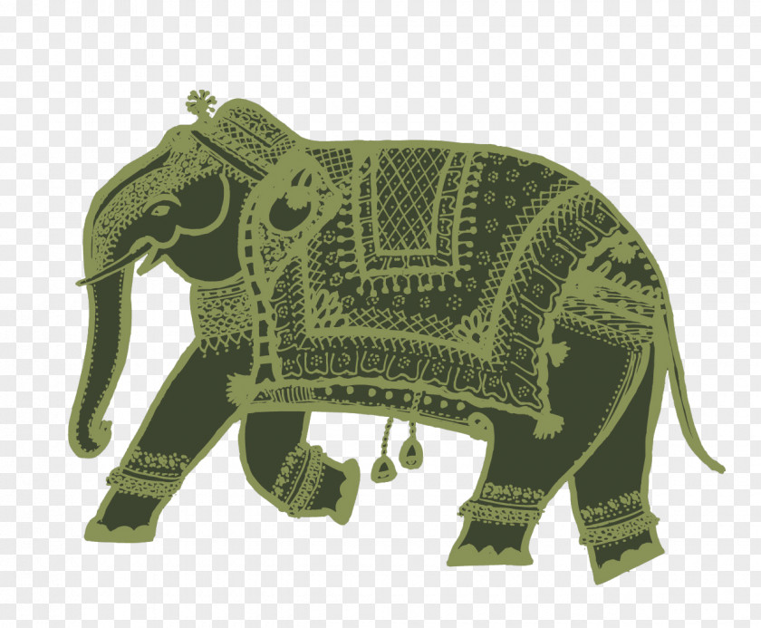 India Indian Elephant African Elephantidae PNG