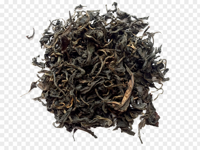 Anhua Black Tea Production In Sri Lanka Oolong White Leaf Grading PNG