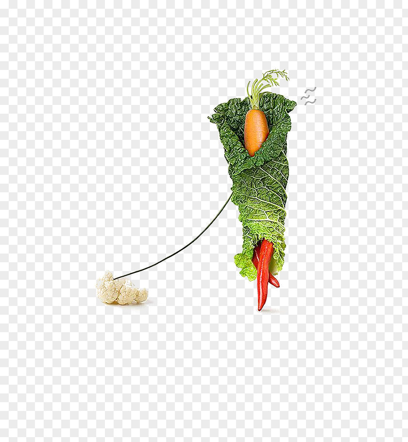Creative Vegetable Carrot Food Creativity Photography PNG
