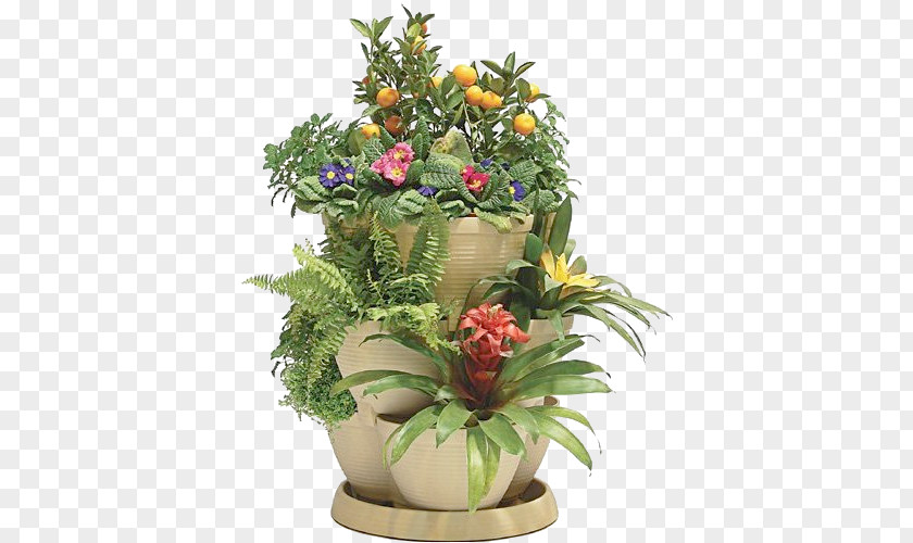 Flower Flowerpot Floral Design Plastic Houseplant PNG