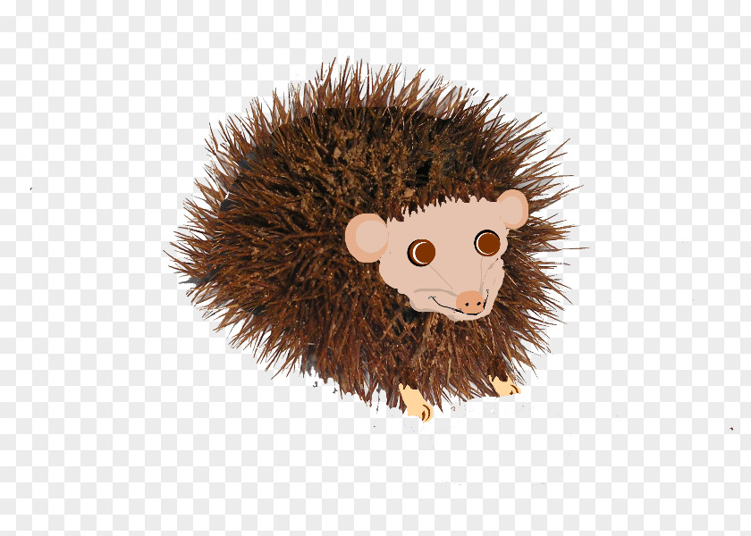 Hedgehog Domesticated Gift Drawing Christmas PNG