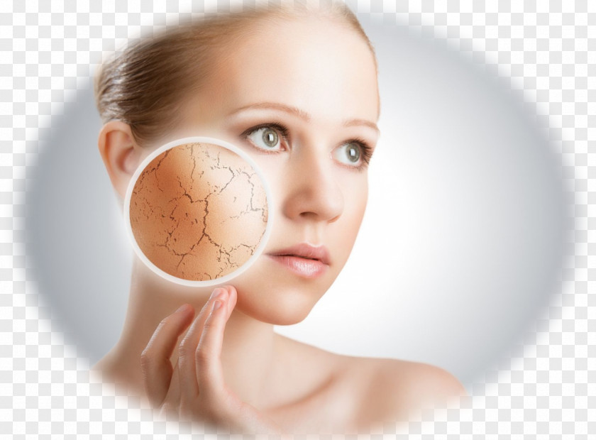My Skin Dermatology Cosmetics Sunscreen Lotion Medicine PNG