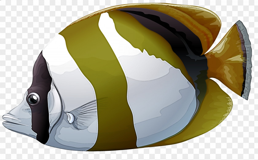 Fish Helmet Butterflyfish Personal Protective Equipment PNG