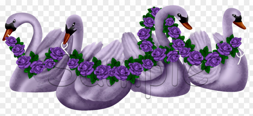 Love Swan Lavender Lilac Violet Water Bird Purple PNG