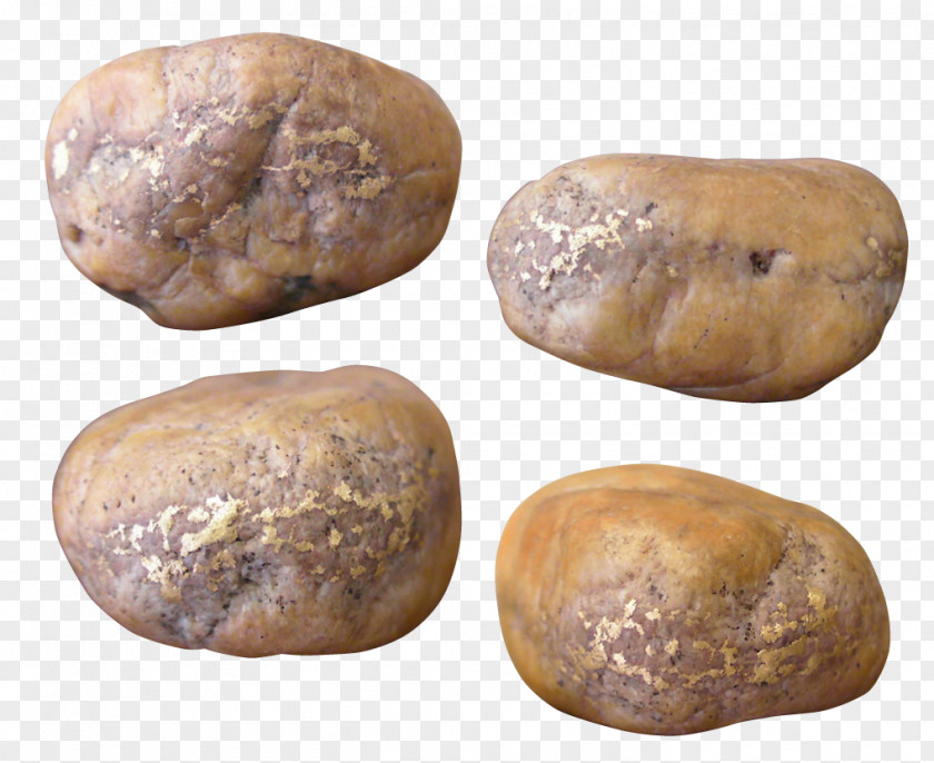 Stone Pebble Cobble Drawing PNG