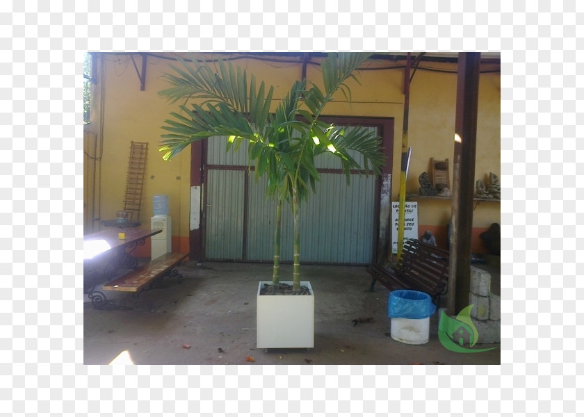 Bellandris Rehner Garden Center Property Arecales PNG