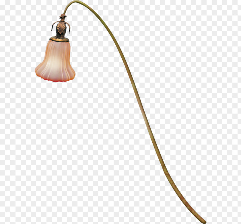 Light Lighting Lantern Lamp PNG
