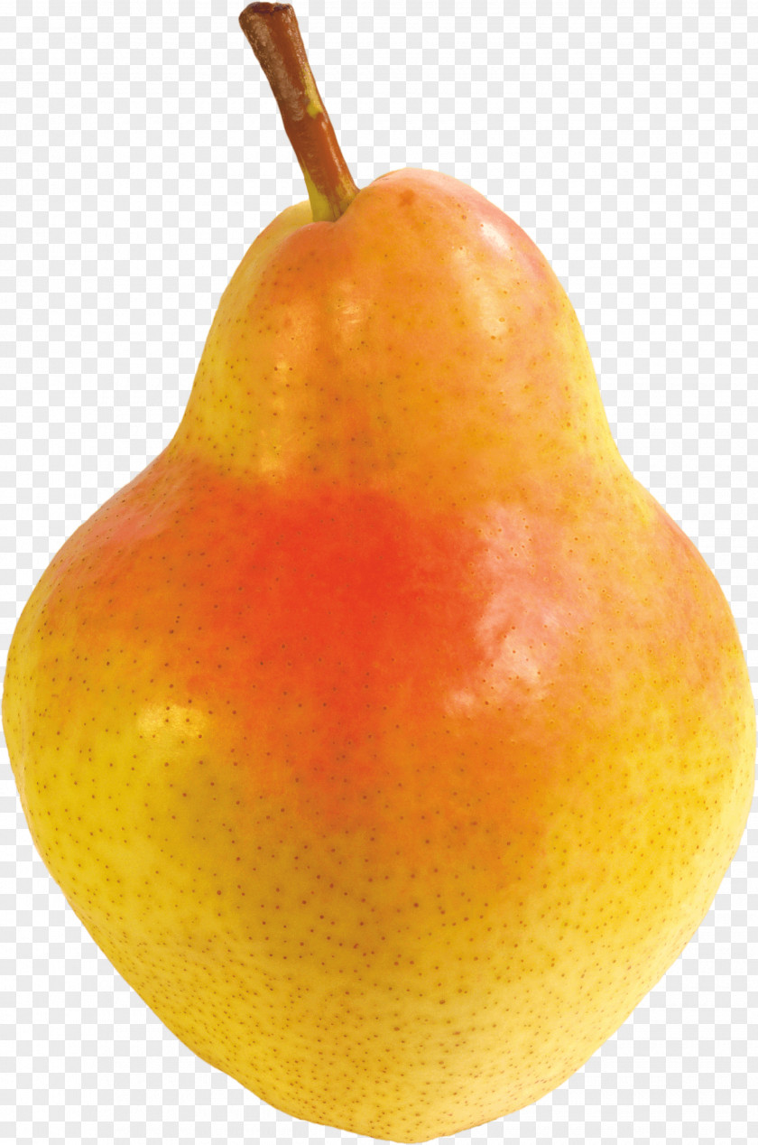 Pear Image Pyrus × Bretschneideri Asian Nivalis Clementine Fruit PNG