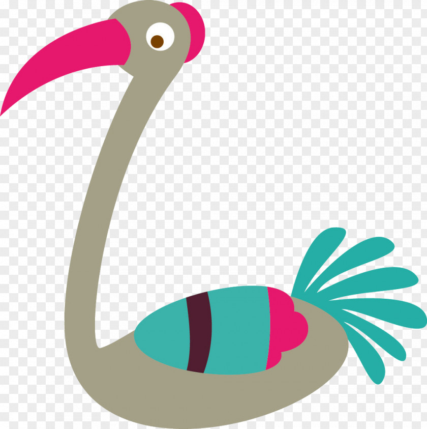 Duck Bird Cygnini Clip Art PNG