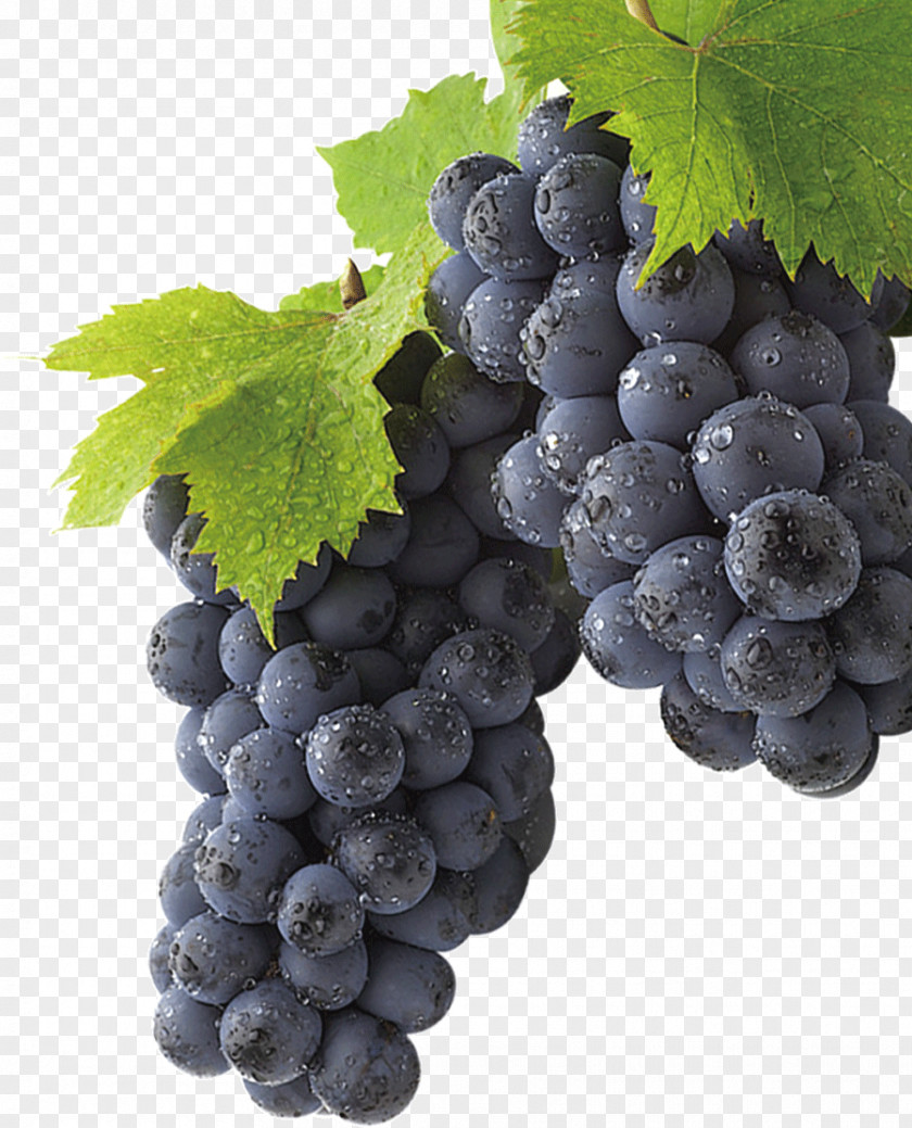 Grape Huyi District Download PNG