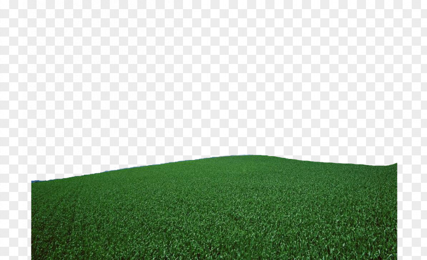 Green Grass Artificial Turf Rectangle Pattern PNG