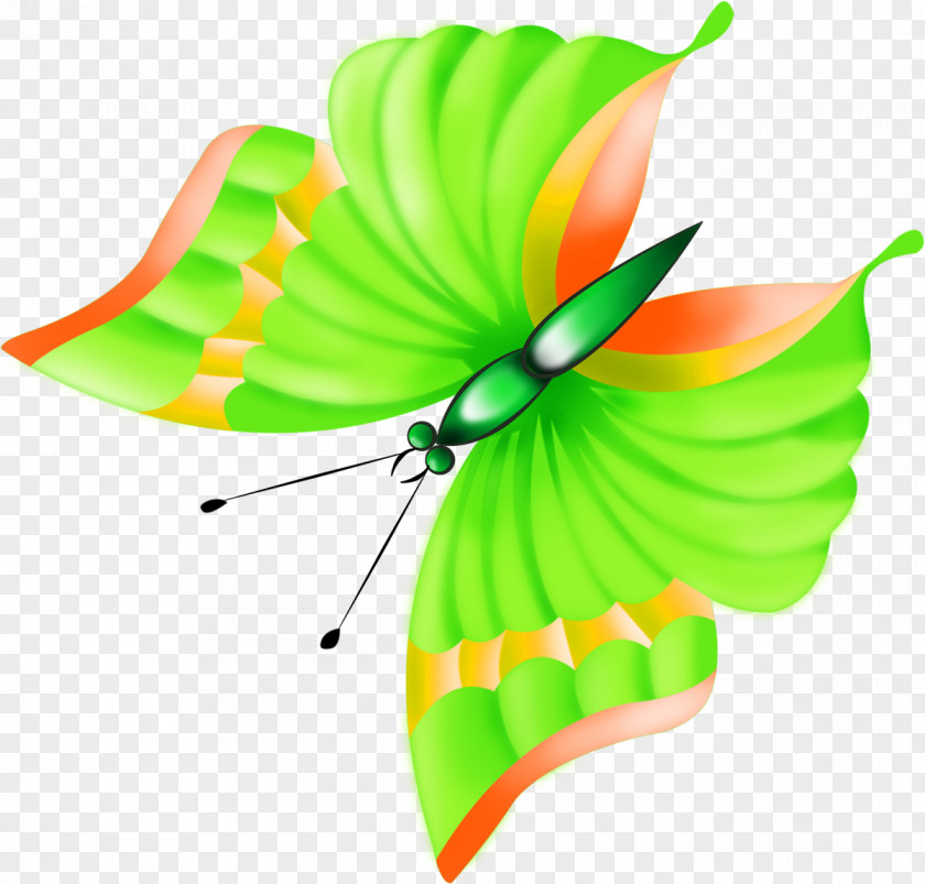 Mahavir Butterfly Photography Clip Art PNG