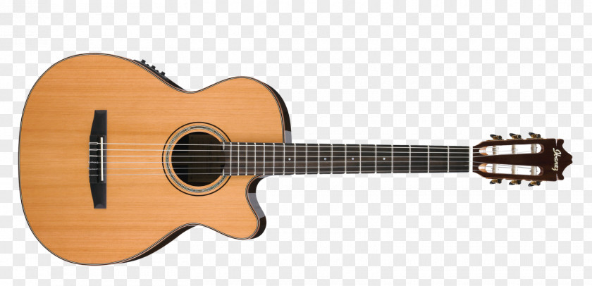 Musical Instruments Takamine Guitars Acoustic Guitar Classical PNG