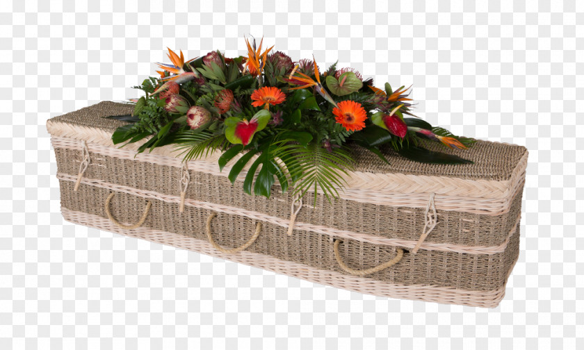 Sea Grass Coffin Rectangle Seagrass Box Seaweed PNG