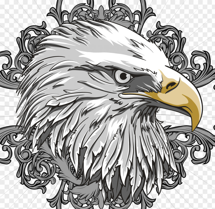 Vector Eagle Bald Flag Of The United States PNG
