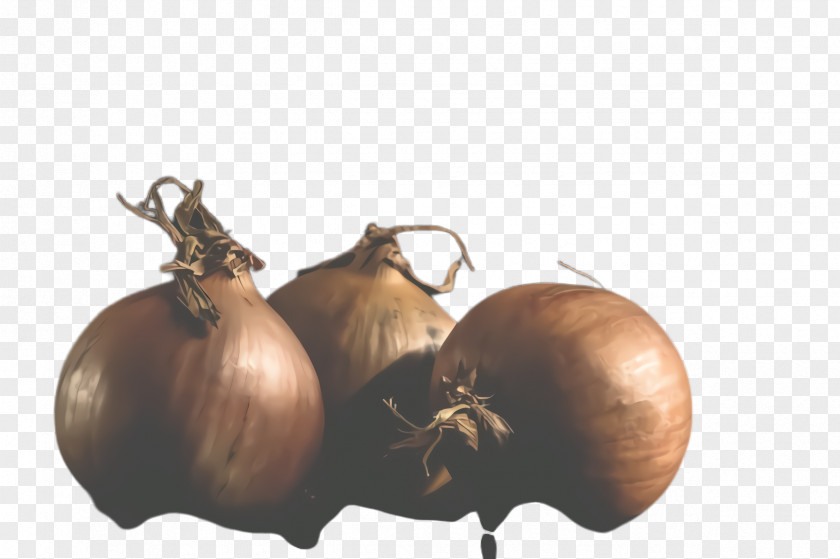 Vegetarian Food Garlic Vegetable Yellow Onion Plant Allium PNG