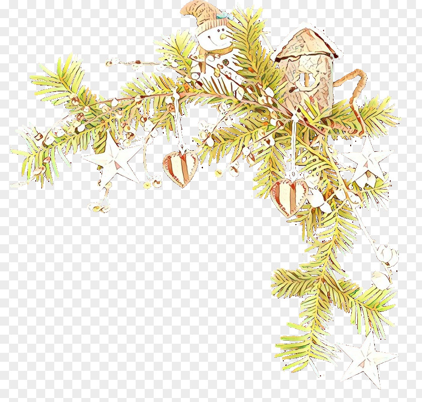 White Pine Family Tree Plant Branch Oregon American Larch PNG