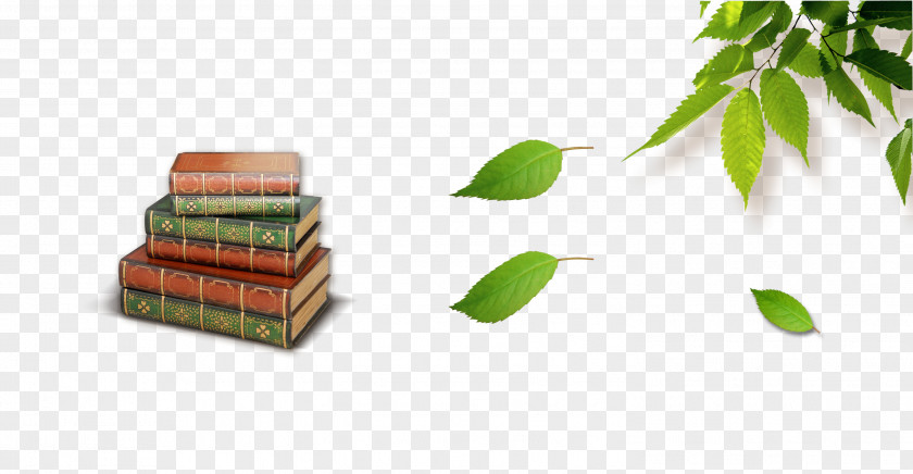 Leaves With Book Autumn Leaf Color PNG