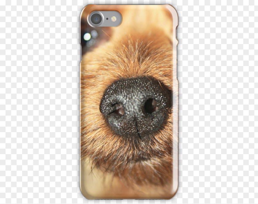 People Nose Whiskers Telephone Samsung Galaxy Snout PNG